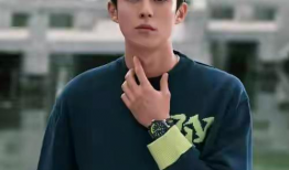 今日吃瓜王鹤棣,今日吃瓜王，瓜田里的青春偶像