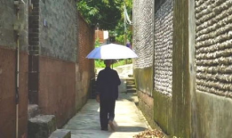 翰林院今日吃瓜事件视频,揭秘幕后真相与网络舆论风暴