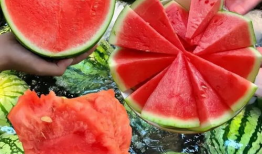 今日立秋吃瓜了吗,您吃瓜了吗？探寻传统习俗与健康饮食的完美融合