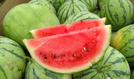 今日晴宜吃瓜图片,今日晴宜吃瓜时光